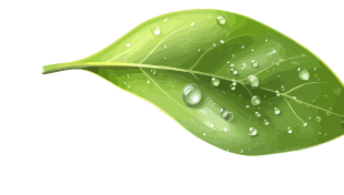 Decorative background